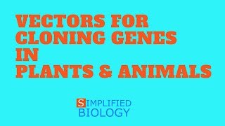 VECTORS FOR CLONING GENES IN PLANTS AND ANIMALS for NEET AIIMS AIPMT MCAT JIPMER PREMED [upl. by Nnyletak486]