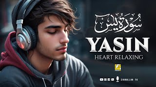 Surah Yasin Yaseen سورة يس  Relaxing Voice Soothing Quran Recitation  Zikrullah TV [upl. by Kellia]