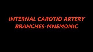 Internal Carotid Artery Branches  Mnemonic [upl. by Batholomew]