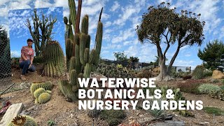 Waterwise Botanicals amp Nursery Gardens Tour Cactus and Succulents [upl. by Nanreh]