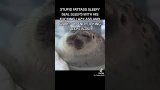 Fat seal saga  Seal 3 The sleeper [upl. by Kristal]