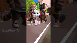 Oh My Cats catlover funny cutecat [upl. by Akimad867]