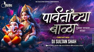 Parvatichya Bala Ganpati Song DJ Remix  Ganpati Maza Nachat Aala DJ  DJ Sultan Shah [upl. by Gnot671]