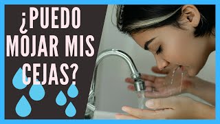 ⚠️ Cuándo se pueden MOJAR 💦 las cejas después del MICROBLADING [upl. by Aipmylo298]