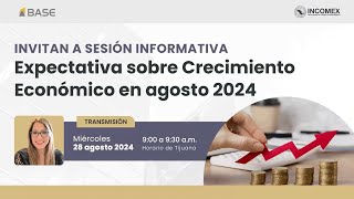 Expectativa sobre Crecimiento Económico en agosto 2024 [upl. by Daegal]