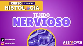 TEJIDO NERVIOSO HISTOLOGÍA [upl. by Ylelhsa188]