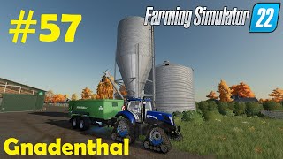 LS22 Gnadenthal 57 Produktion für Mischration Felder pflügen amp mulchen  Farming Simulator 22 [upl. by Sup]