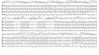 Berceuse Opus 16 for Flute amp Strings [upl. by Alvord133]