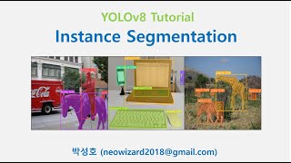 YOLOv8 Instance Segmentation Tutorial [upl. by Moreen942]