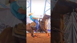 TEAM ROPING 2023 • REELS • KADU GERVARTOSKY • LAÇO EM DUPLA DUPLA PÉ shorts [upl. by Elston]