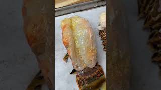 How to cook Lobster Tails in the OVEN shorts lobster seafood homecooking [upl. by Haziza]