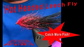 Hot Headed Leech Fly Pattern Fly Tying Tutorial [upl. by Negah]