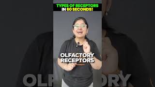 5 Types Of Receptors in 60 Seconds⏰📚🔥 class10 receptors class10biology vedantu9and10 [upl. by Cathleen]