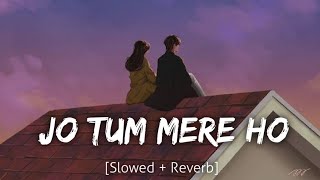 jo tum mere ho lofi song slower reverb lofi song music song slowedandreverb slowed lofi [upl. by Leverick]