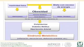 La hipertrigliceridemia como factor de riesgo cardiometabólico en el Mexicano  Part1  HD [upl. by Clary626]