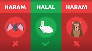 Halal and Haram Animals in Islam [upl. by Petit127]