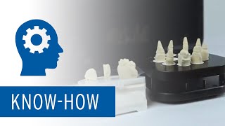 Multi Die Scan Tutorial mit Ceramill Map Scanner [upl. by Acinorav]