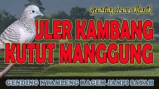 Gending Jawa Klasik Uler Kambang Kutut Manggung Nonstop 3 Jam  Uyon uyon Gending Kagem Jampi Sayah [upl. by Annohsed]