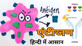 Antigen in hindi  Immunogen  Factors affecting Immunogenicity [upl. by Takashi400]