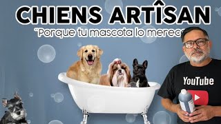 SHAMPOO para DESMANCHAR los LAGRIMALES de tu PERRO [upl. by Nyberg]