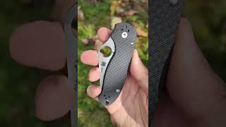 Spyderco Para3 CF 52100 Sprint Run C223CF52100P [upl. by Nylekoorb]