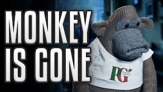 The PG Tips Monkey Has Been Replaced  Some Boi Online [upl. by Nnahaid6]