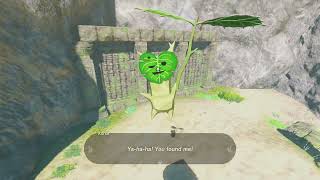 Korok Seed 647 Palmorae Ruins  The Legend of Zelda Tears of the Kingdom [upl. by Frederique935]