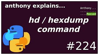 showing actual file bytes with hexdump beginner  intermediate anthony explains 224 [upl. by Idna]