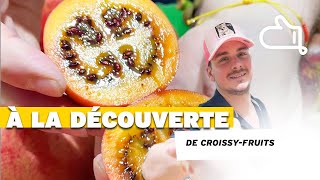 Avec Croissyfruit tu ne verras plus les fruits comme avant  Et toi tu préfères lequel [upl. by Trebleda]