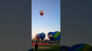 Balloon fiesta 🎈 [upl. by Catto215]