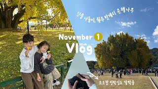 단풍 구경은 여기 원주 반계리은행나무🌳  아이랑 가을 나들이🍁  강원도 핫플 카페 스톤크릭  그리고 엄마 교복 바지 몇 개만리본빛 Le17septembre [upl. by Anerb]