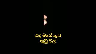 සද මගේ agili තුඩු වල [upl. by Etnovert]