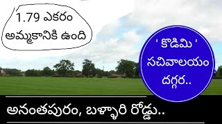 Acres for sale in anantapur ballari road kodimi  acres for sale in kodimi village  acres for sale [upl. by Stewardson]