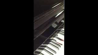 Piano PLEYEL SCHIMMEL [upl. by Letsyrhc]