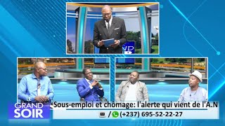 SOUS EMPLOI ET CHÔMAGE  LALERTE QUI VIENT DE LASSEMBLÉE NATIONALE  LE GRAND SOIR DU 19 NOV 2024 [upl. by Eiram]