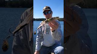 New Savage Burbot Tube [upl. by Elias848]