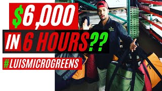 6000 IN MICROGREEEN SALES IN 6 HOURS [upl. by Llen]