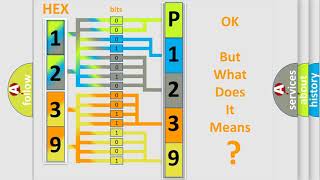 DTC Audi P1239 Short Explanation [upl. by Itisahc]