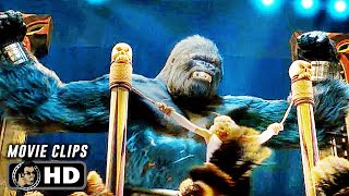 KING KONG CLIP COMPILATION 2005 Action Movie CLIPS HD [upl. by Whitebook]