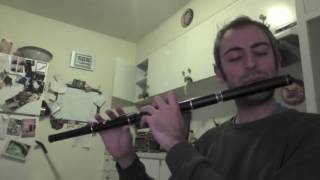 The Foxhunters Reel  Irish Flute  slowfast [upl. by Hcra580]