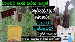 වගාවට හානි කරන සතුන් පලවා හැරීමට අපි සුළං ටකයක් හදමුmenna supiri video eakatakayasl rasadhara [upl. by Pratt]