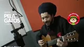 Quique Neira  Redemption Song  Bob Marley  Reggae en PelaGatos [upl. by Lavinia]