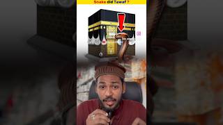 Snake did tawaf 🥰 makkahmadinah khanakaba shots islamicreactionvideo video [upl. by Neirod]