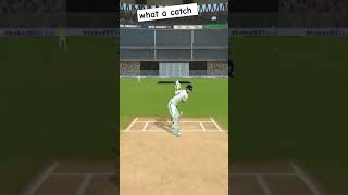 What a catch viralvideo shortvideo cricket public [upl. by Berget192]