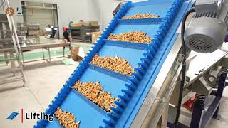 Cashew Roasting and Flavoring Line Flavored Nut Manufacturing Plants [upl. by Thorn]