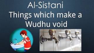 AlSistani  Things which make a Wudhu void explained [upl. by Calendre]