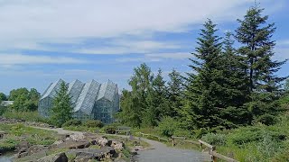 Botanischer Garten der Universität Osnabrück 15052024 [upl. by Adaner]