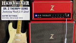 Humbucker Music Dr Z Therapy Demo  Strat [upl. by Geof299]