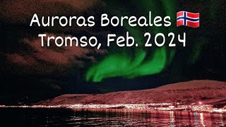 TromsoNoruega 2024 🇧🇻 Cazando auroras boreales [upl. by Elbys171]