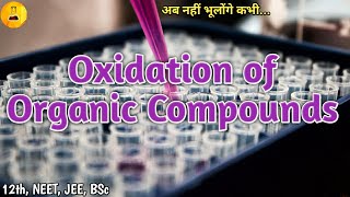 Oxidation of organic compounds Chemistry Junction [upl. by Aicatsal42]